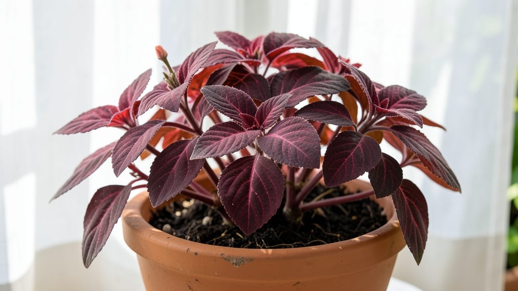 Red Leaf Plant Identification: Visual Guide to Crispy Edges and Fungal Spots
